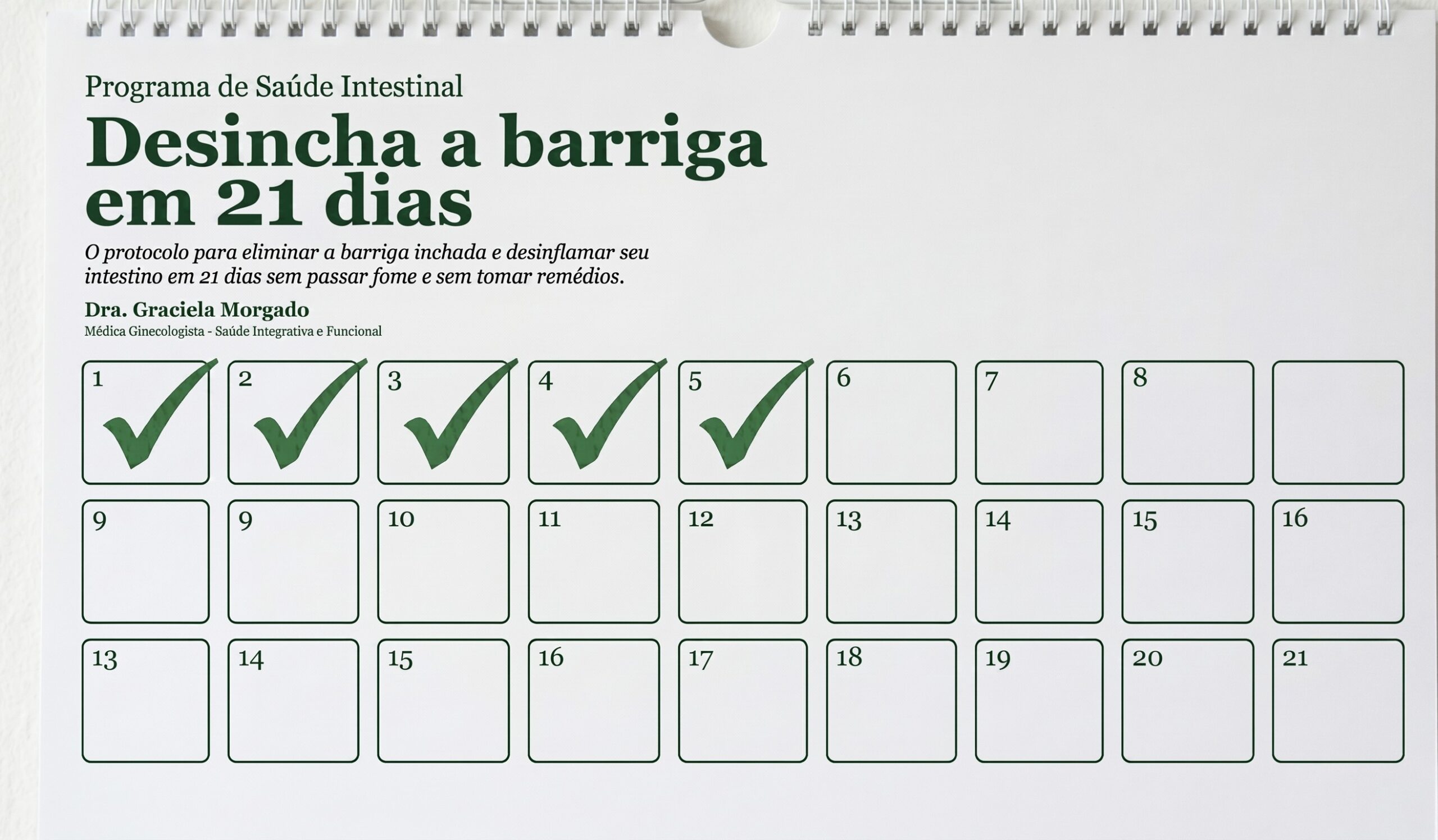 Planner Detox 21 Dias